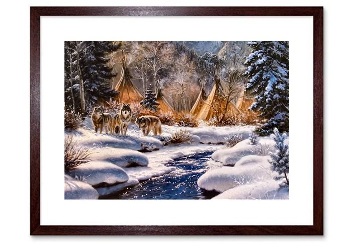 North American IndianFramed Print